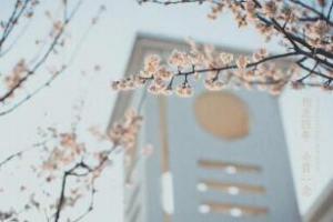 4、念一念(1) 4、念一念(1)
